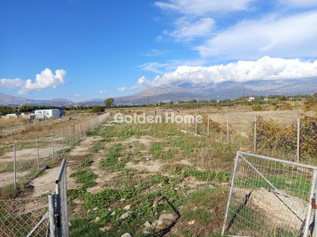 Αγροτεμάχια 700 τ.μ. για πώληση