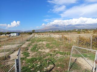 Αγροτεμάχια 700 τ.μ. για πώληση