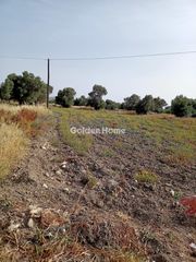 Αγροτεμάχια 3.800 τ.μ. για πώληση