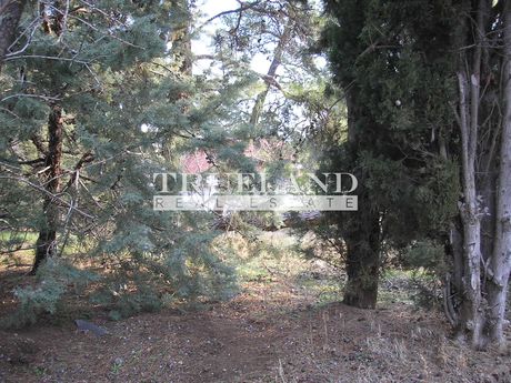 Οικόπεδο 2.062τ.μ. για πώληση-Ωραιόκαστρο