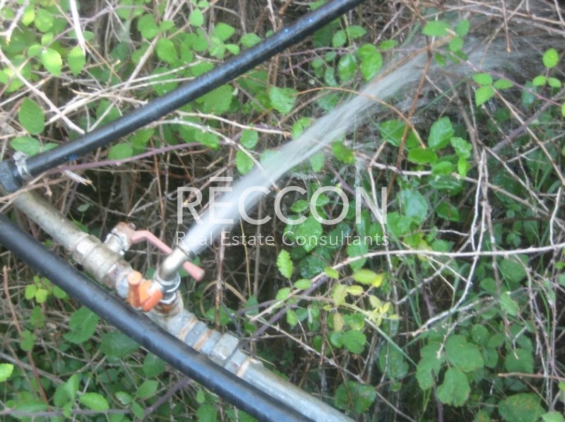Αγροτεμάχια 5.400 τ.μ. πρός πώληση, Κυκλάδες, Άνδρος