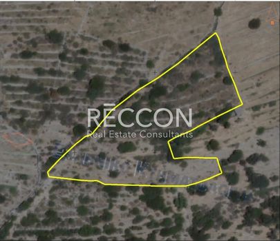 Αγροτεμάχια 5.400τ.μ. για πώληση-Άνδρος » Κόρθιο