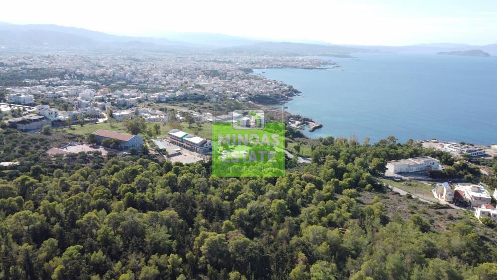 Οικόπεδο 10.200 τ.μ. προς πώληση, Προφ. Ηλίας