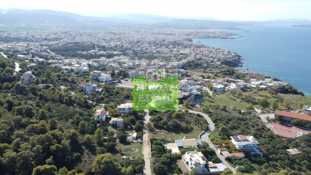 Οικόπεδο 10.200 τ.μ. προς πώληση, Προφ. Ηλίας