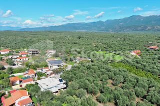 Οικόπεδο 293 τ.μ. για πώληση, Μεσσηνία, Άριο-thumb-8