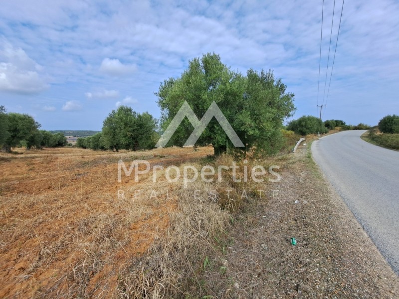 Αγροτεμάχια 11.240 τ.μ. προς πώληση, Άφυτος