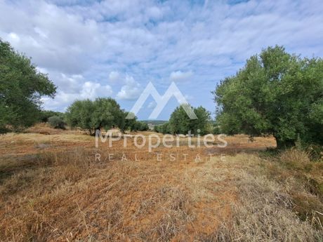 Αγροτεμάχια 11.240 τ.μ. προς πώληση