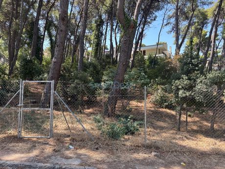 Οικόπεδο 1.322 τ.μ. για πώληση