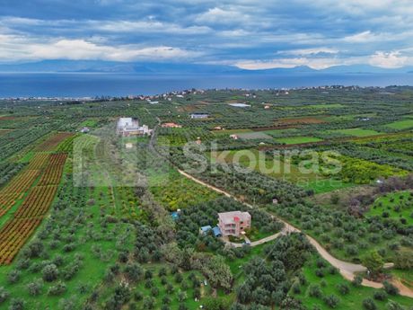 Μονοκατοικία 315τ.μ. για πώληση-Ξυλόκαστρο