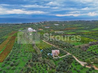 Μονοκατοικία 315 τ.μ. για πώληση