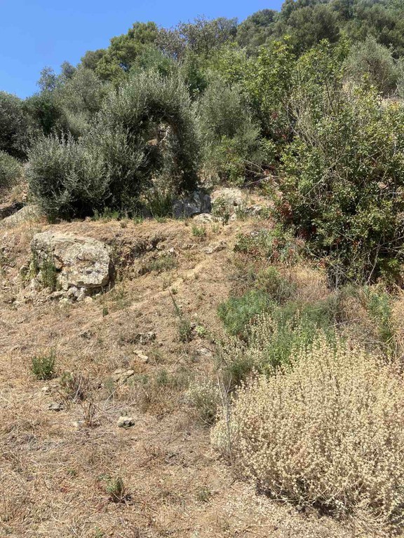 Οικόπεδο 5.330 τ.μ. προς πώληση, Φωτακάδο