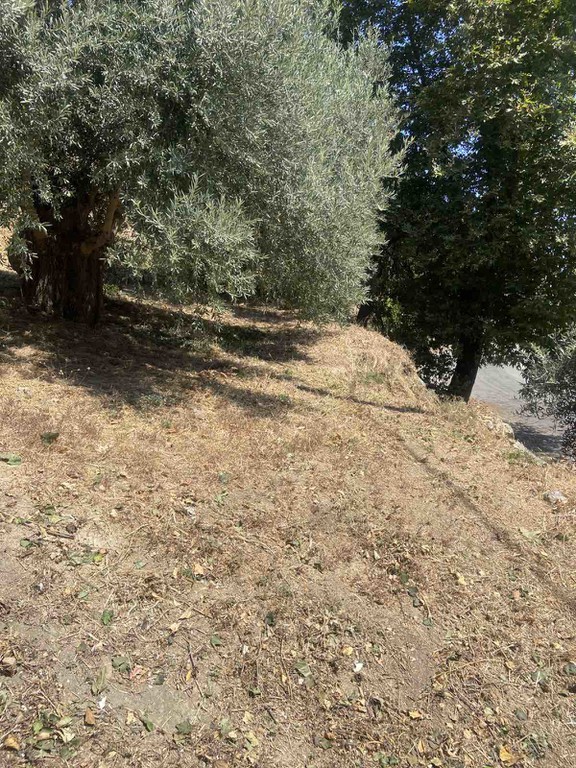 Οικόπεδο 5.330 τ.μ. προς πώληση, Φωτακάδο