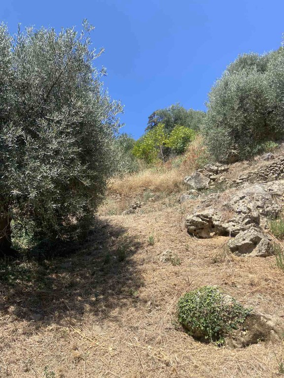 Οικόπεδο 5.330 τ.μ. προς πώληση, Φωτακάδο