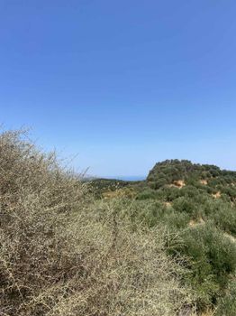 Οικόπεδο 18.837 τ.μ. προς πώληση