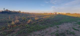 Αγροτεμάχια 3.738 τ.μ. για πώληση