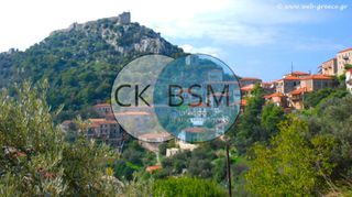 Οικόπεδο 550 τ.μ. προς πώληση, Καρύταινα-thumb-9