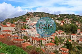 Οικόπεδο 550 τ.μ. προς πώληση, Καρύταινα-thumb-1