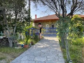 Detached home 250 sqm for sale