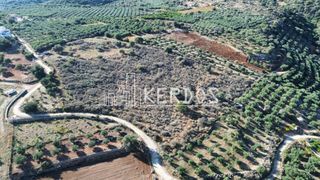 Οικόπεδο 5.373 τ.μ. για πώληση