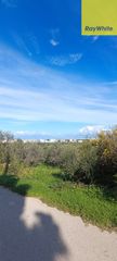 Οικόπεδο 3.600 τ.μ. για πώληση