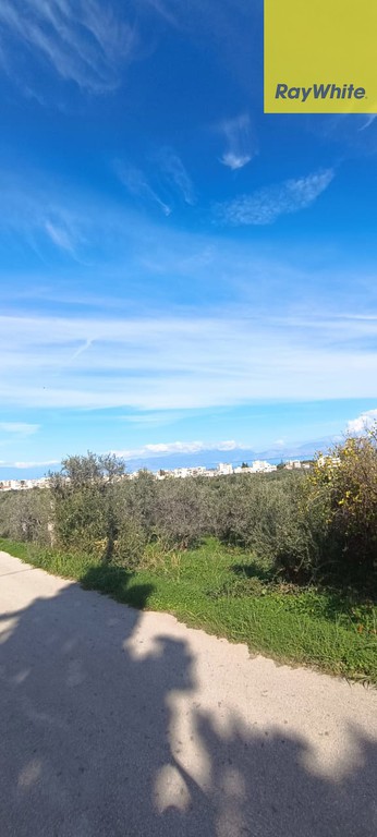 Οικόπεδο 3.600 τ.μ. προς πώληση, Καριώτικα Ξυλοκάστρου