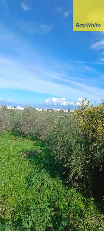 Οικόπεδο 3.600 τ.μ. προς πώληση, Καριώτικα Ξυλοκάστρου