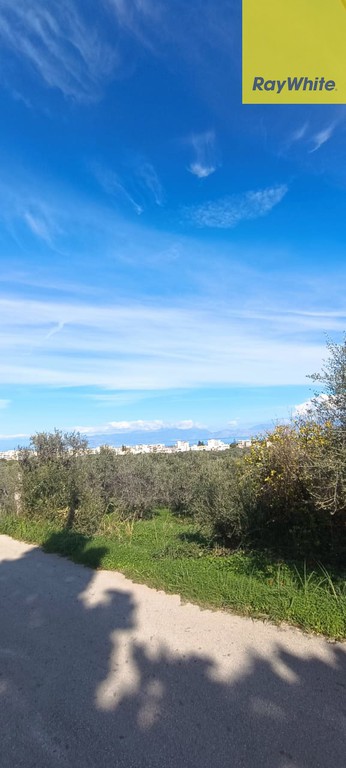 Οικόπεδο 3.600 τ.μ. προς πώληση, Καριώτικα Ξυλοκάστρου
