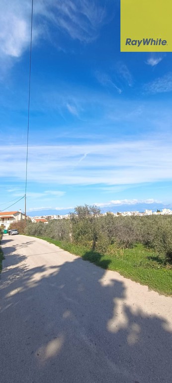 Οικόπεδο 3.600 τ.μ. προς πώληση, Καριώτικα Ξυλοκάστρου