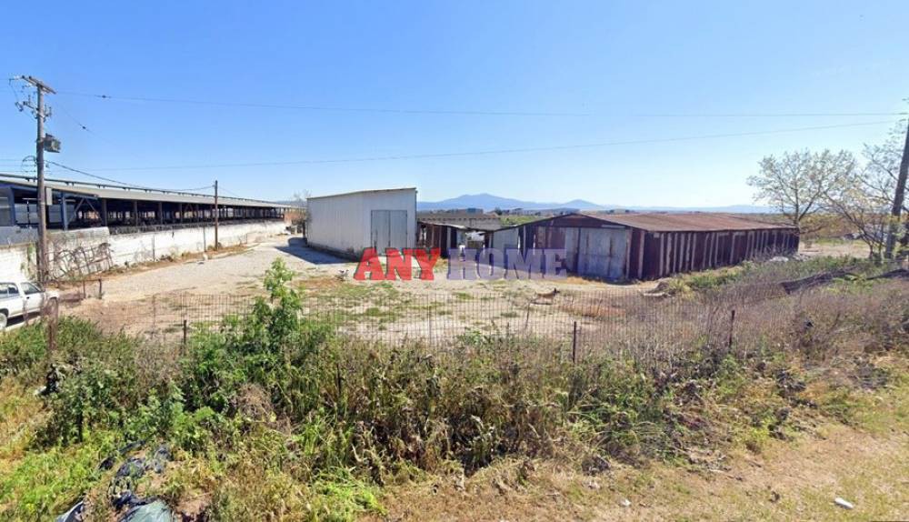 Γη 5.700 τ.μ. προς ενοικίαση, Θεσσαλονίκη - Περιφ/Κοί Δήμοι, Εχέδωρος
