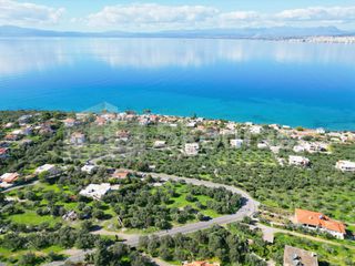 Οικόπεδο 4.261,47 τ.μ. για πώληση, Μεσσηνία, Καλαμάτα-thumb-9