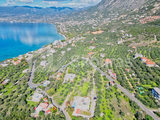 Οικόπεδο 4.261,47 τ.μ. για πώληση, Μεσσηνία, Καλαμάτα-thumb-5