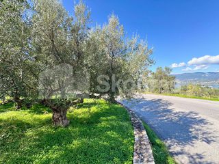 Οικόπεδο 4.261,47 τ.μ. για πώληση, Μεσσηνία, Καλαμάτα-thumb-18