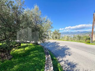 Οικόπεδο 4.261,47 τ.μ. για πώληση, Μεσσηνία, Καλαμάτα-thumb-19