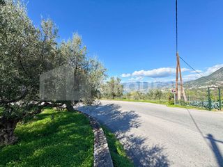 Οικόπεδο 4.261,47 τ.μ. για πώληση, Μεσσηνία, Καλαμάτα-thumb-17