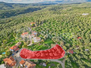 Οικόπεδο 1.176,83 τ.μ. για πώληση, Μεσσηνία, Νέστορας-thumb-1