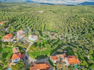 Οικόπεδο 1.176,83 τ.μ. για πώληση, Μεσσηνία, Νέστορας-thumb-16
