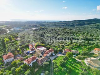 Οικόπεδο 1.176,83 τ.μ. για πώληση, Μεσσηνία, Νέστορας-thumb-11