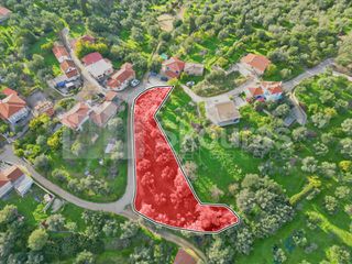Οικόπεδο 1.176,83 τ.μ. για πώληση, Μεσσηνία, Νέστορας-thumb-2