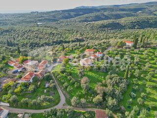 Οικόπεδο 1.176,83 τ.μ. για πώληση, Μεσσηνία, Νέστορας-thumb-20