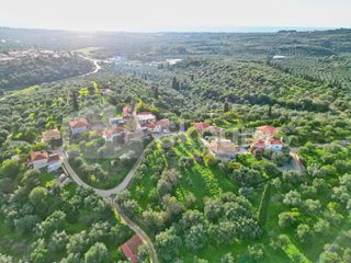 Οικόπεδο 1.176,83 τ.μ. για πώληση, Μεσσηνία, Νέστορας-thumb-19