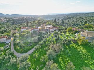 Οικόπεδο 1.176,83 τ.μ. για πώληση, Μεσσηνία, Νέστορας-thumb-3