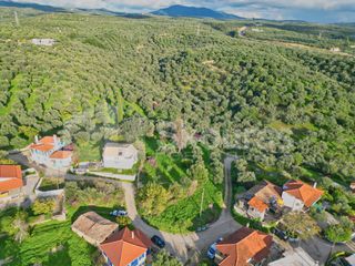 Οικόπεδο 1.176,83 τ.μ. για πώληση, Μεσσηνία, Νέστορας-thumb-15