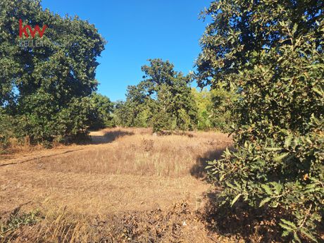 Parcel 4.735sqm for sale-Movri