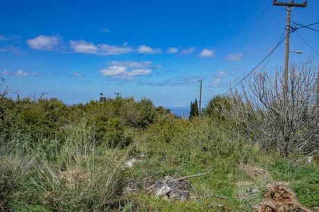 Οικόπεδο 1.002τ.μ. για πώληση-Ρέθυμνο