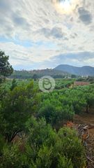 Βίλλα 21.318 τ.μ. για πώληση, Αργολίδα, Ερμιόνη-thumb-19