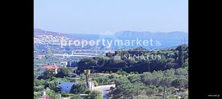 Οικόπεδο 4.000 τ.μ. πρός πώληση, Ν. Λασιθίου, Σητεία-thumb-1