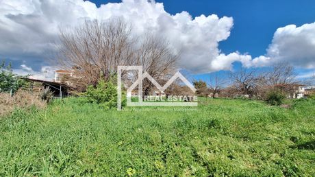 Land plot 526 sqm for sale