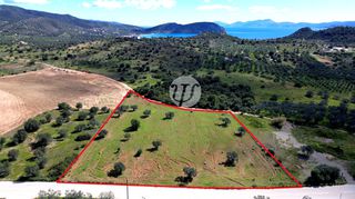 Οικόπεδο 9.221 τ.μ. για πώληση