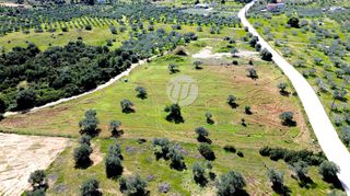 Οικόπεδο 9.221 τ.μ. για πώληση, Αργολίδα, Ερμιόνη-thumb-5