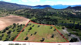 Οικόπεδο 9.121 τ.μ. για πώληση